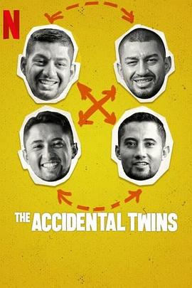 双胞胎乌龙：翻倍的兄弟情 The Accidental Twins