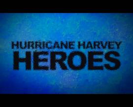 飓风英雄 Hurricane Harvey Heroes