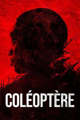 直升机 Coléoptère