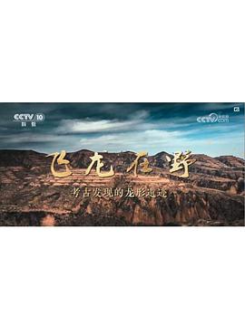 飞龙在野——考古发现的龙形遗迹