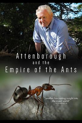 爱登堡和蚂蚁王国 Attenborough and the Empire of the Ants
