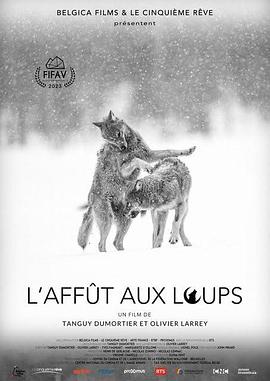 狼群之中 L'affût aux loups