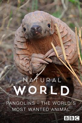 穿山甲：被捕杀最多的动物 Pangolins: The World's Most Wanted Animal