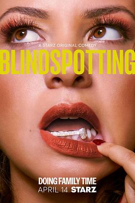 盲点 第二季 Blindspotting Season 2