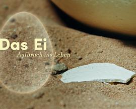 蛋——生命的开始 Das Ei - Aufbruch ins Leben