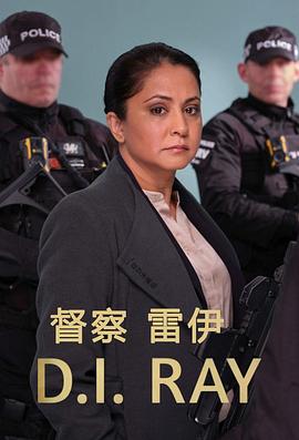 督察雷伊 第二季 DI Ray Season 2