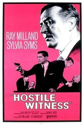 敌对证人 Hostile Witness