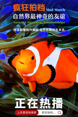 疯狂拍档：自然界最神奇的友谊 Mad Match: Nature's Strangest Relationships
