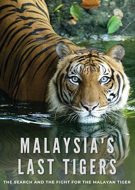 最后的马来虎 Malaysia’s Last Tigers