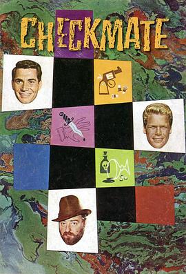 高价侦探 Checkmate