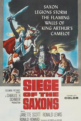 劫后英雄复国记 Siege of the Saxons