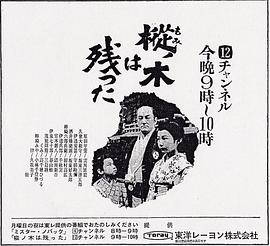 最后的枞树 樅ノ木は残った