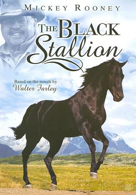 黑马的新挑战 The New Adventures of the Black Stallion