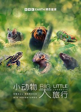 小动物 大旅行 第一季 Big Little Journeys Season 1
