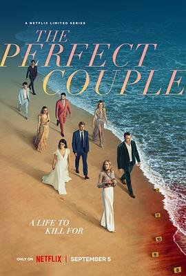 模范爱侣 第一季 The Perfect Couple Season 1