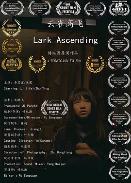 云雀高飞