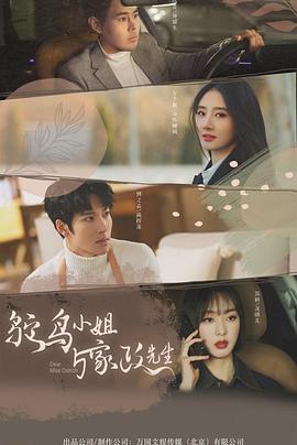 鸵鸟小姐与家政先生