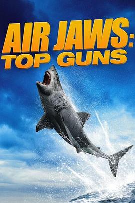 空中巨鲨：捍卫战士 Air Jaws: Top Guns