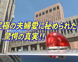 所辖之女9 新宿西署刑事课强行犯系 ショカツの女９新宿西署 刑事課強行犯係
