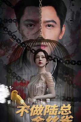 掌中玩物，不做陆总金丝雀