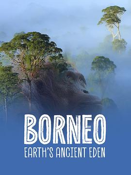 婆罗洲：人间伊甸园 Borneo: Earth's Ancient Eden