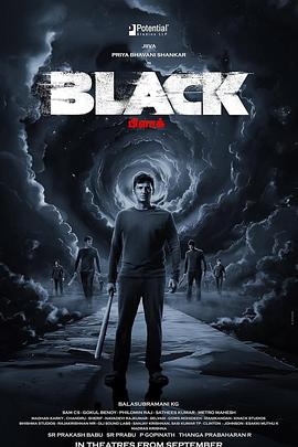 平行黑洞 Black
