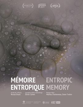 熵记忆 Mémoire entropique