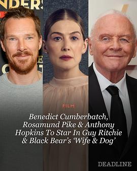 绅士行动：暗战 Wife and Dog