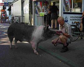 神猪 Divine Pig