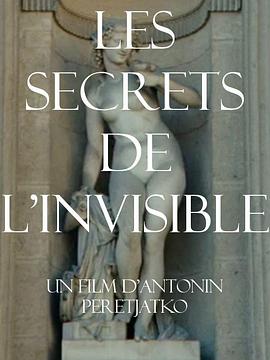 隐形的秘密 Les secrets de l'invisible