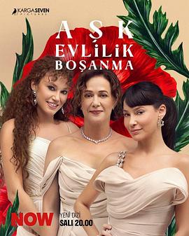 婚词离曲 Așk Evlilik Boşanma