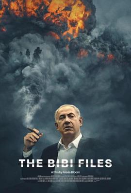 比比档案 The Bibi Files