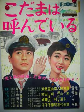 こだまは呼んでいる