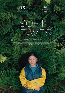 温柔的叶子 Soft Leaves