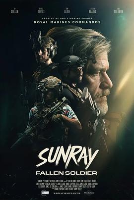 战魂终回 Sunray