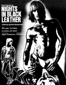 黑皮革之夜 Nights In Black Leather