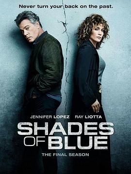 警魂 第三季 Shades of Blue Season 3