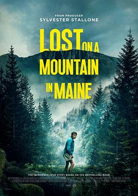 迷路 Lost on A Mountain in Maine
