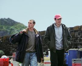 内华达之瑰 Rose of Nevada