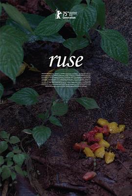 排练日 Ruse