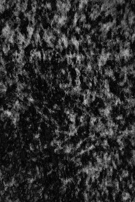 垂死世界的永恒宁静 The Immutable Quiet of a Dying World