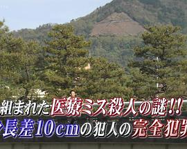 京都南署监识档案9 京都南署鑑識ファイル9