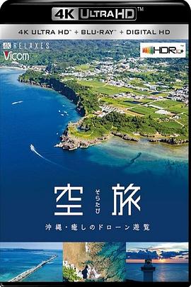 冲绳本岛空中巡游 空旅 沖縄～癒しのドローン遊覧～