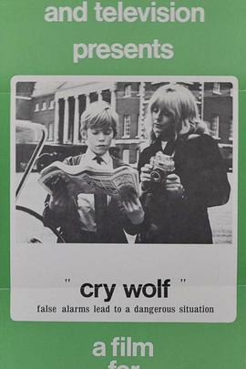 报警记 Cry Wolf