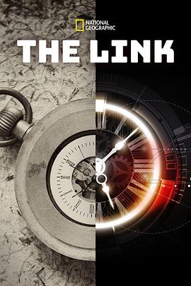 科技的族谱 The Link