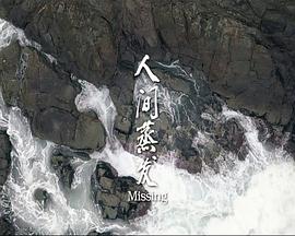 MISSING 人间蒸发