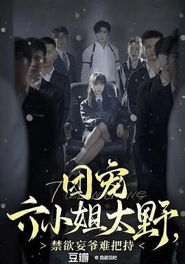 团宠六小姐太野，禁欲妄爷难把持