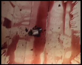 鲁皮宁遗失 Extinguishing Lupines