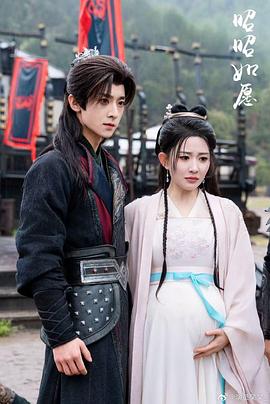 昭昭如愿