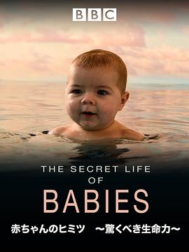 婴儿的秘密生活 Secret Life of Babies